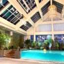 (주)우리엔 서울 | 더링크서울 트리뷰트 호텔 수영장 호캉스 솔직 후기