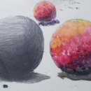 기초 소묘 및 수채화 이미지