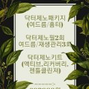 스파엘샤다이