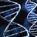 다나가정의원 이미지