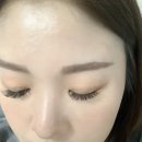 도도안속눈썹 네이버블로그