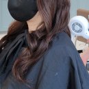 엘레강스헤어샵 - 부평구 | 엘레강스헤어샵