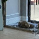 옥천동물병원 이미지