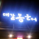 대갈통문어 이미지