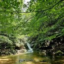 계곡이 아름다운 집 이미지