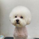 아이멍쥬 네이버블로그