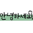 나바론종합상사