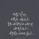 타타타 이미지