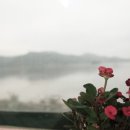 수석횟집