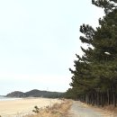 마리모 | [충남 태안] 6살 아이와 태안 가족여행, 밧개해수욕장 1분 마리모펜션 숙소 후기
