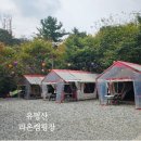 가평 캠핑장 유명산 라온 아이랑 2박 3일(계곡, 키즈시설)