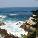 삼척해상케이블카 장호역 이미지