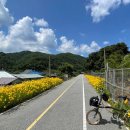 세븐일레븐가평자전거테마파크점 이미지