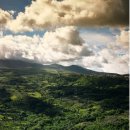 에이치농장 이미지