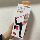 행정리 425-12 | [다이소 후기] ‘요가 벨트’, 집에서 손쉽게 스트레칭!