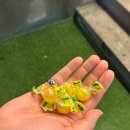 이건한잔 | 수원 인계동 | 제철 해산물 먹을 수 있는 인계동 술집 [제철한잔] 방문 후기