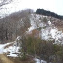 행운목장 이미지