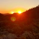 월광전자 이미지