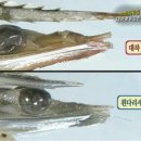 바닷길펜션 이미지