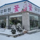 김제꽃사랑화원