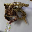 현대일신유치원 이미지