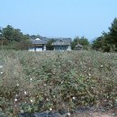 지리산고을 이미지