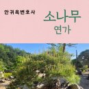 논현무료급식 이미지