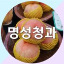 명성청과 - 보은군 삼산남로 14 | 명성청과