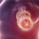 부천중앙병원 이미지