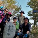 여수연안여객선터미널 이미지