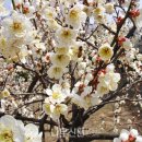 나무와창 이미지