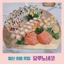 요루노네코