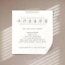 캘리그라피(주) 네이버블로그