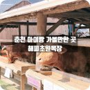이시골 목장1 | 춘천 아이랑 가기 좋은 곳 🐄 해피초원목장 동물체험 솔직후기 (+30개월 아이 반응)