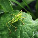 도촌 2농장 이미지