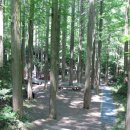 더 시카고 짬뽕 이미지