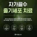 은평-084 이미지