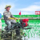 칠리농장 이미지