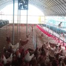 승진농장 이미지