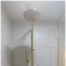 스테이 피크닉 이미지