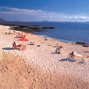 우도사랑협동조합 이미지