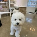 꾸꾸멈머 이미지