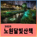예술공간 우리마루 | 새로운 랜드마크 당현마루와 함께하는 2025 노원달빛산책