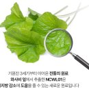 이소 이미지