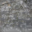 라이프티앤티 이미지