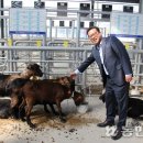수원축협사료 네이버블로그