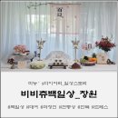 딱봄이 백일_with.비비츄백일상 (창원)