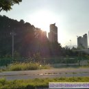 제일부동산 중개인사무소 이미지