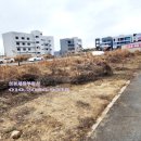 세하부동산중개사무소 이미지