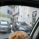 닥터강동물병원 이미지